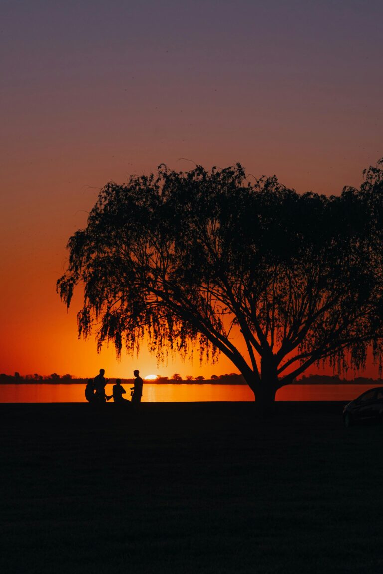 A silhouette of a group of people near a large tree against a sunset.